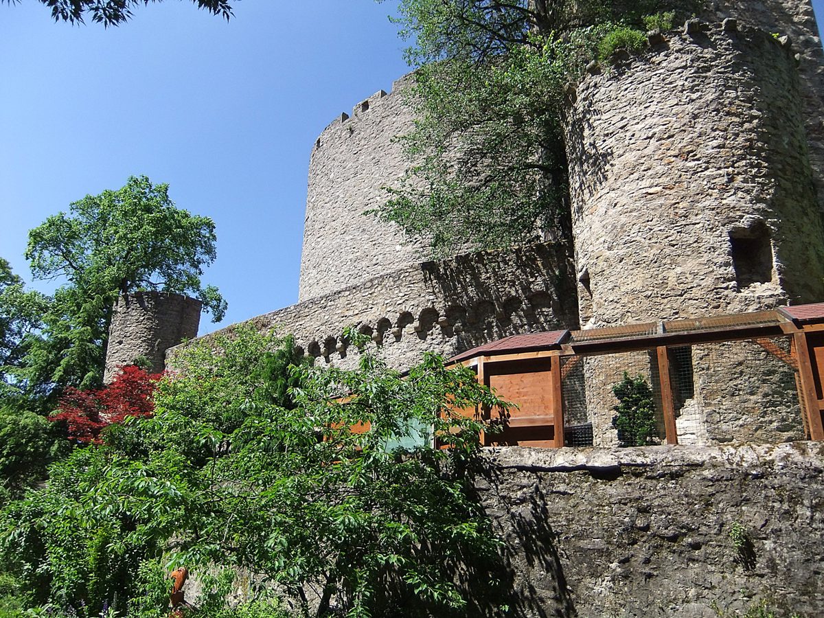Datei:Burg Guttenberg 11.JPG