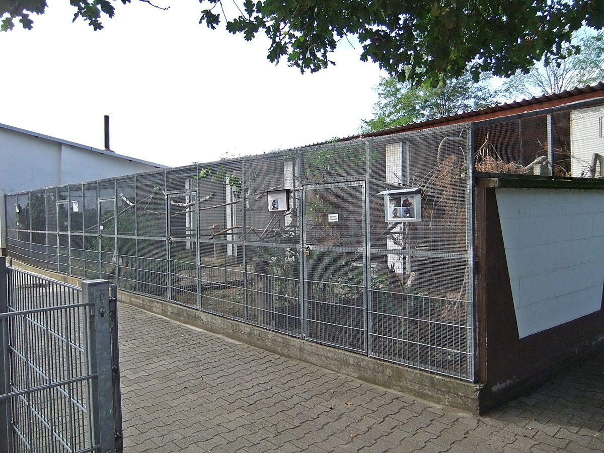 Datei:Vogelpark Reilingen 15.JPG