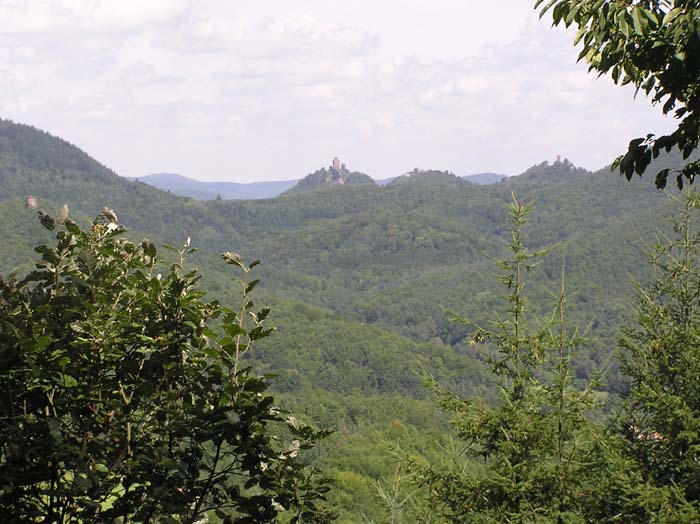 Blick vom Treitelsberg Richtung Annweiler mit Trifels, Anebos und Münz; links Naturdenkmal Kleiner Hahnstein