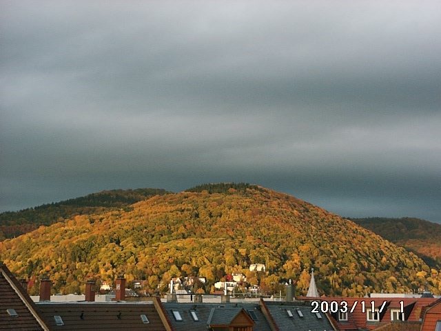 Der Heiligenberg im Herbst (2003)
