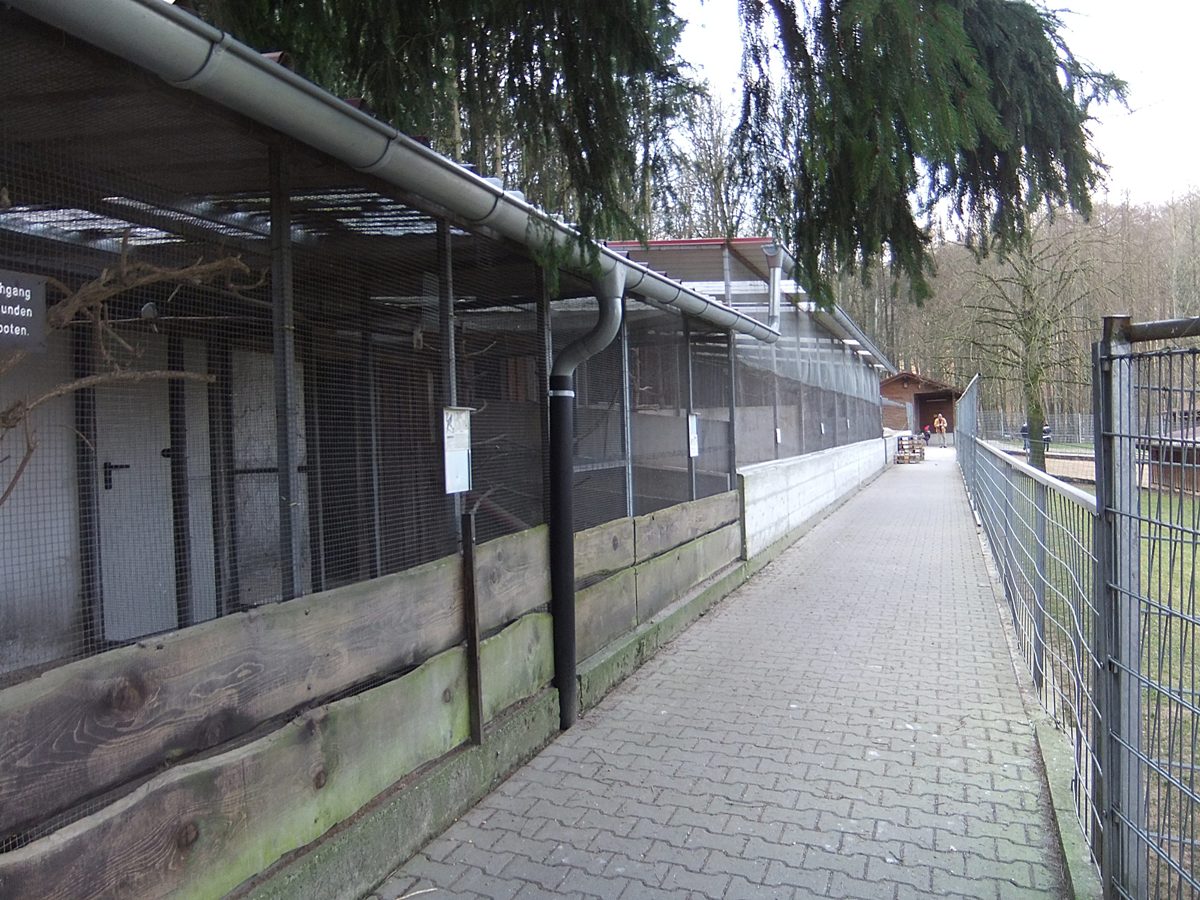Datei:Vogelpark Balzfeld 13.JPG
