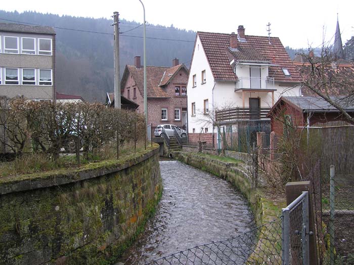 Speyerbach in Elmstein