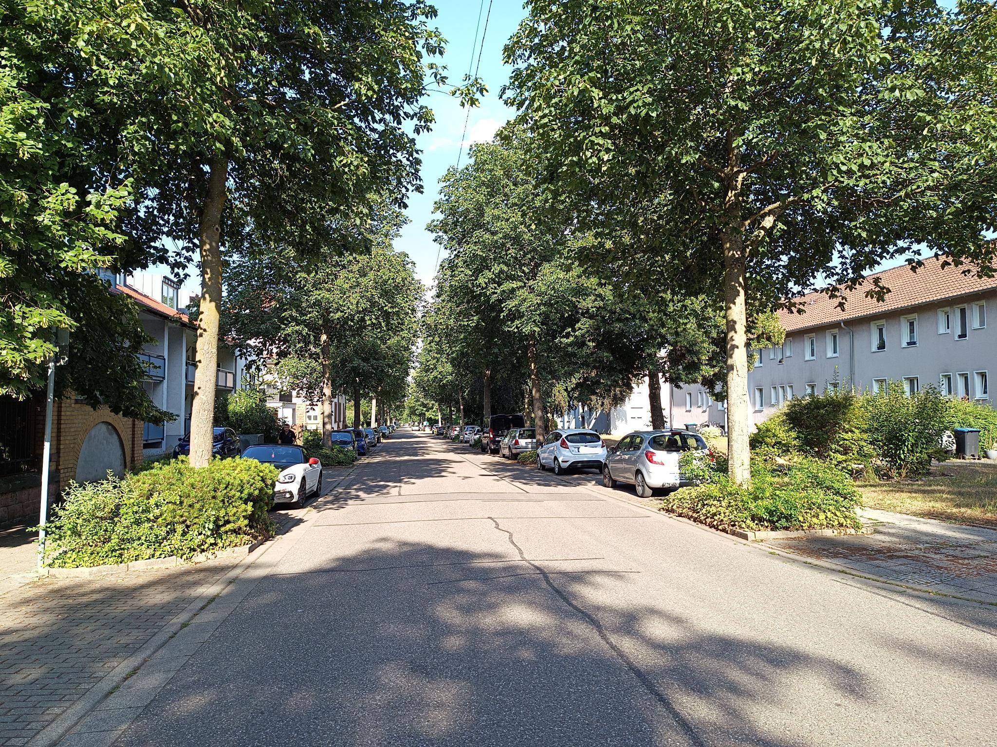 Höhe Wilhelm-Schech-Straße