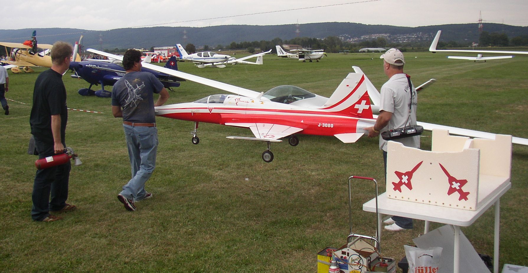 Modellflugzeuge beim Flugtag Walldorf