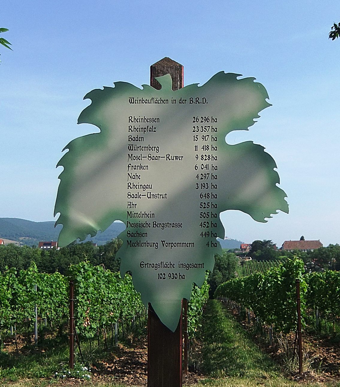 Weinbauflächen in der BRD