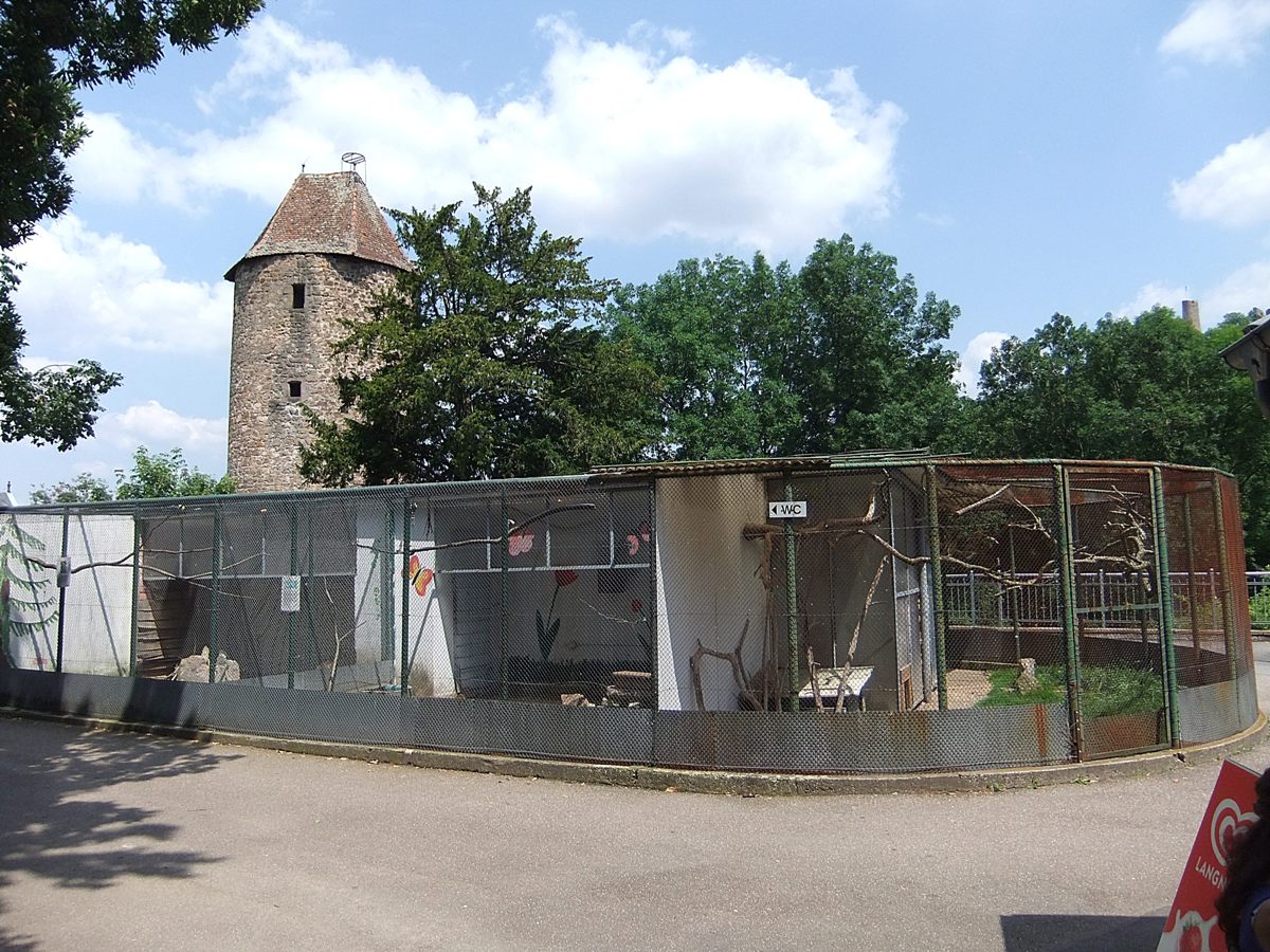 Datei:Großer Schlosspark Weinheim 02.JPG