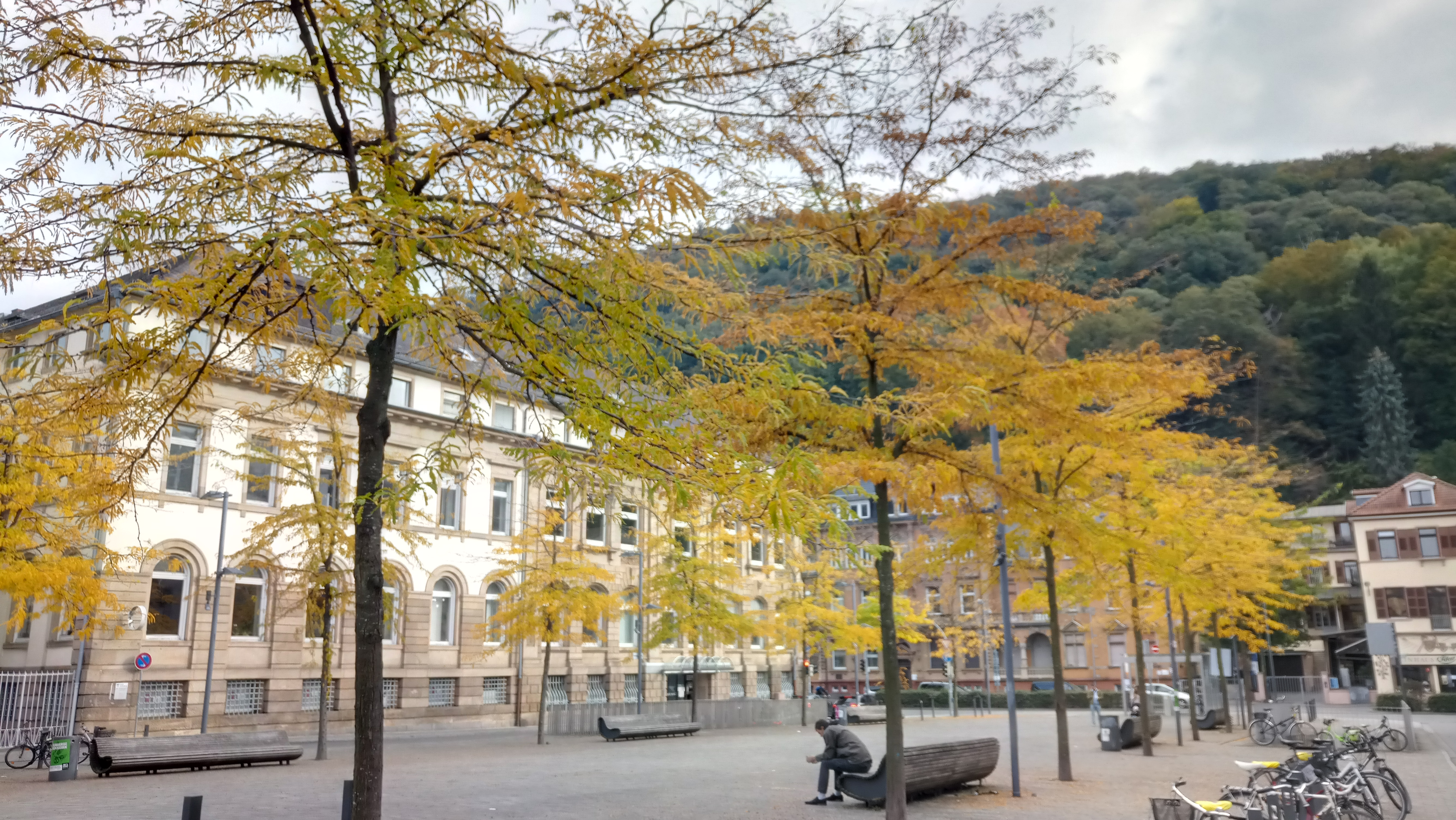 Datei:Friedrich-Ebert-Platz-Heidelberg-Herbst-01.jpg