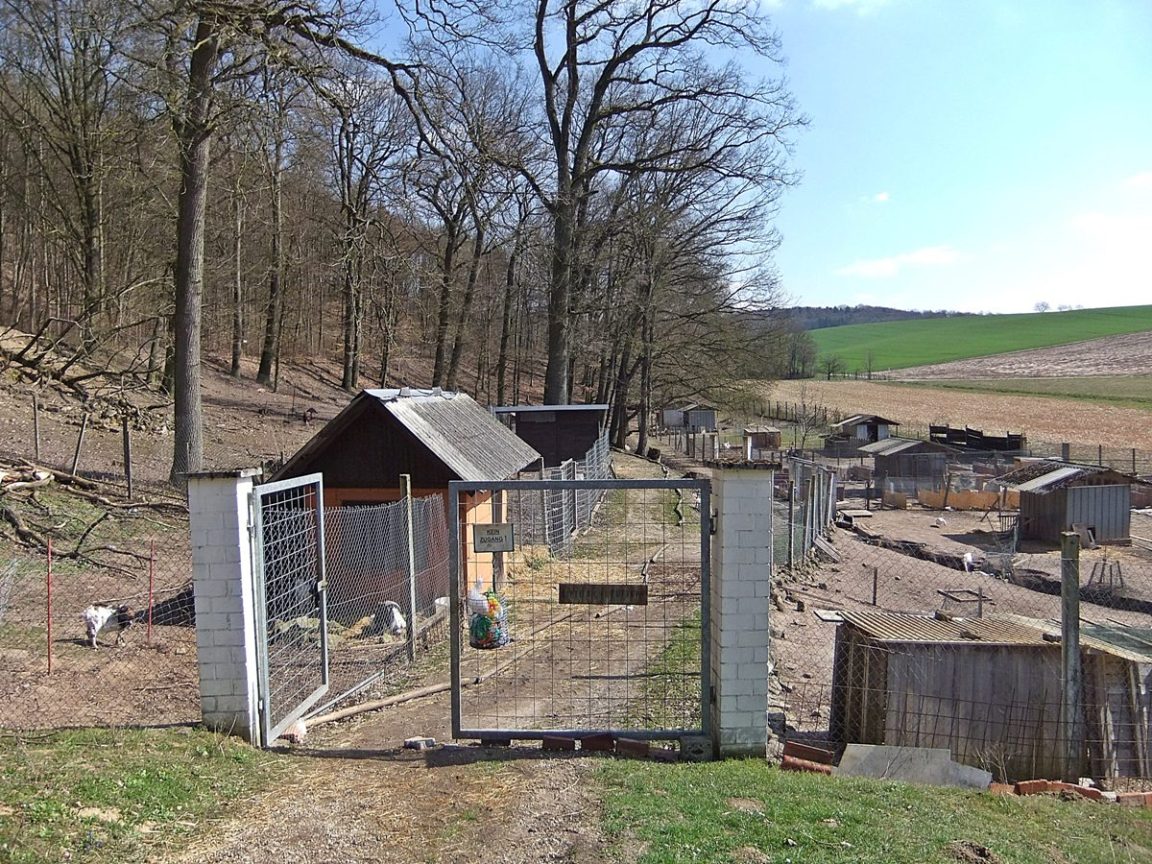 Datei:Tierpark Eschelbach 3.JPG