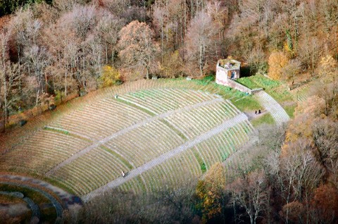 Thingstätte (Bilder) RheinNeckarWiki