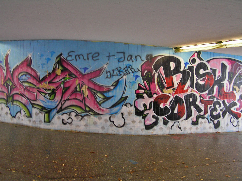 Wiesloch-Schillerpark-Graffiti-03.jpg