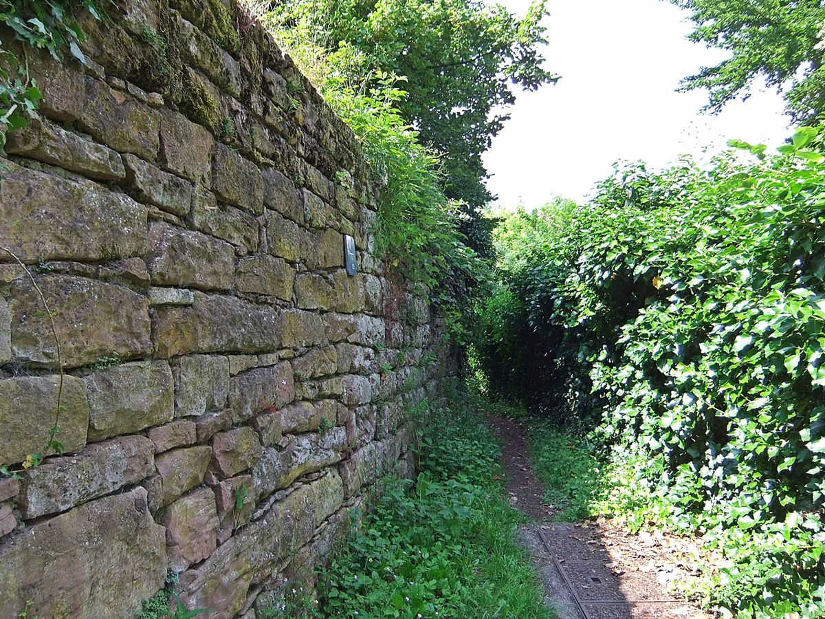 Burg Reichenstein RheinNeckarWiki
