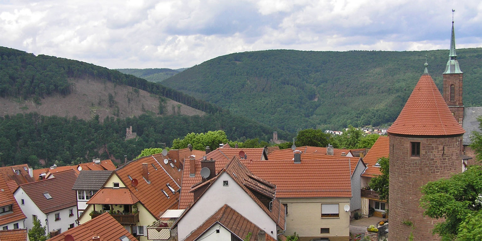 Im Hintergrund die Burgen bei Neckarsteinach