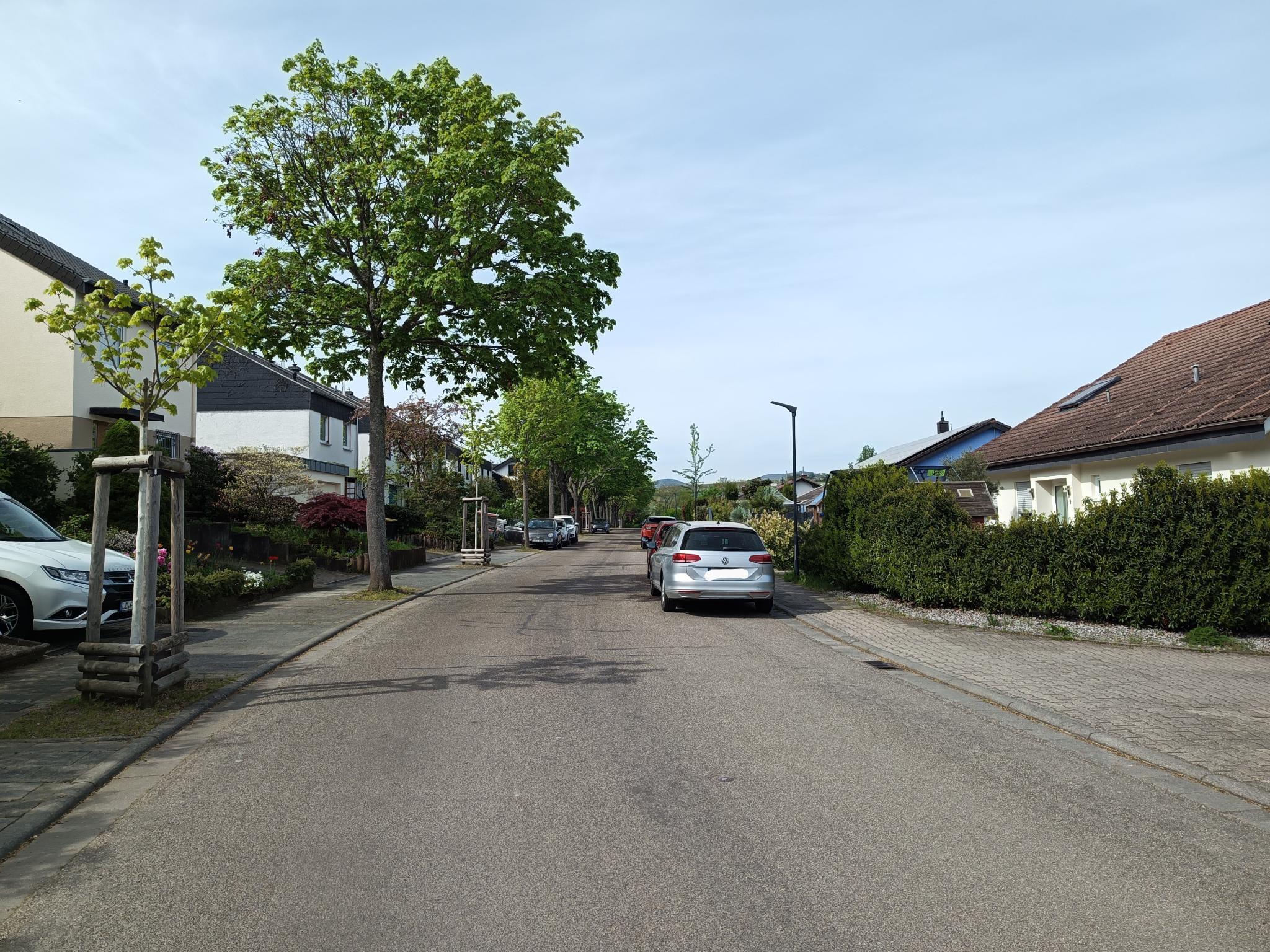 Datei:Kolmarer Straße Landau.jpeg