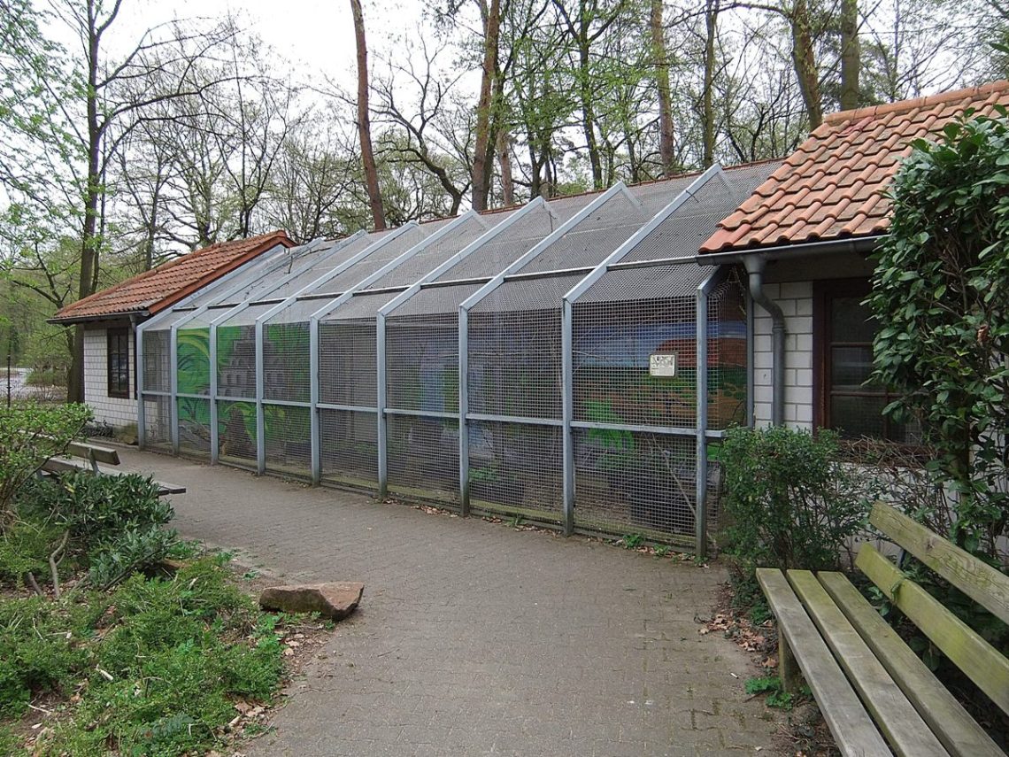 Datei:Tierpark Walldorf 05.JPG