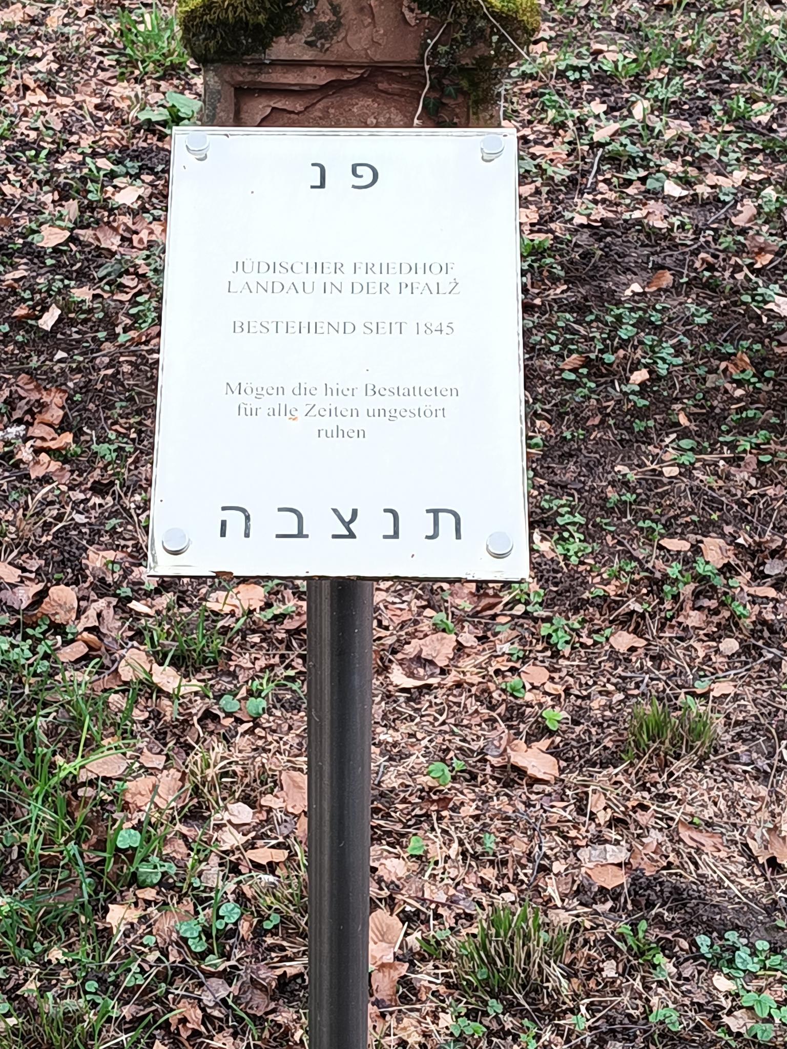 Datei:Jüdischer Friedhof Landau 2.jpeg