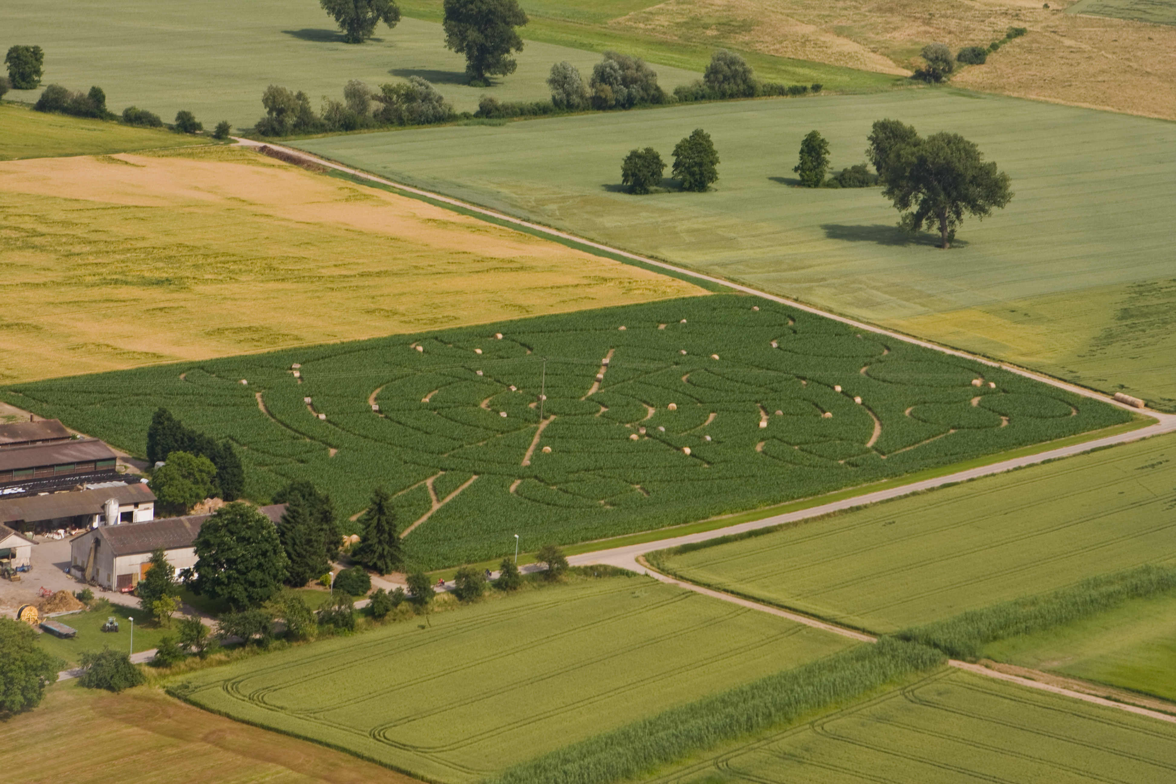 Datei:Luftaufnahme Maislabyrinth Hockenheim.jpg