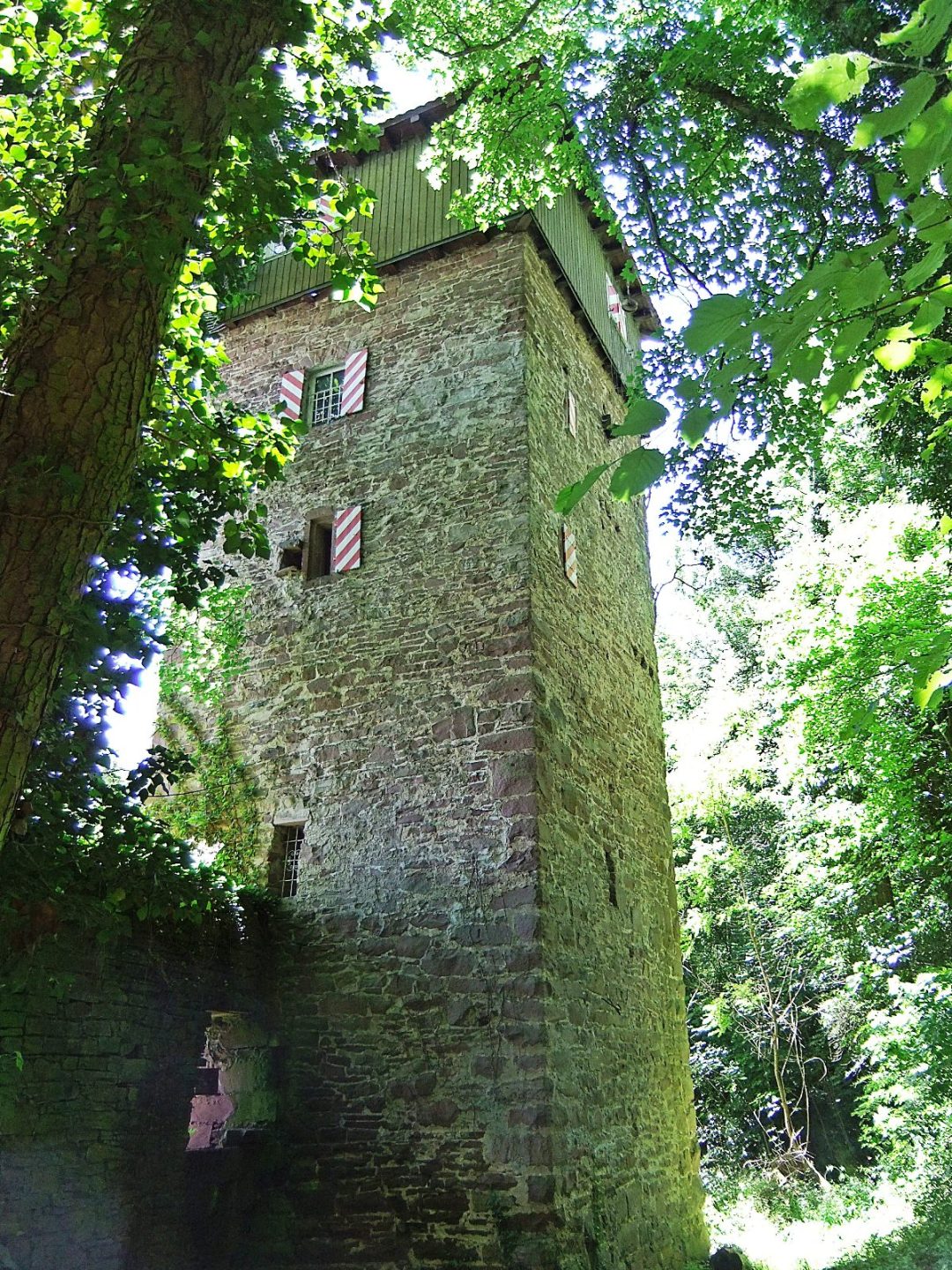 Datei:Burg Dauchstein 02.JPG