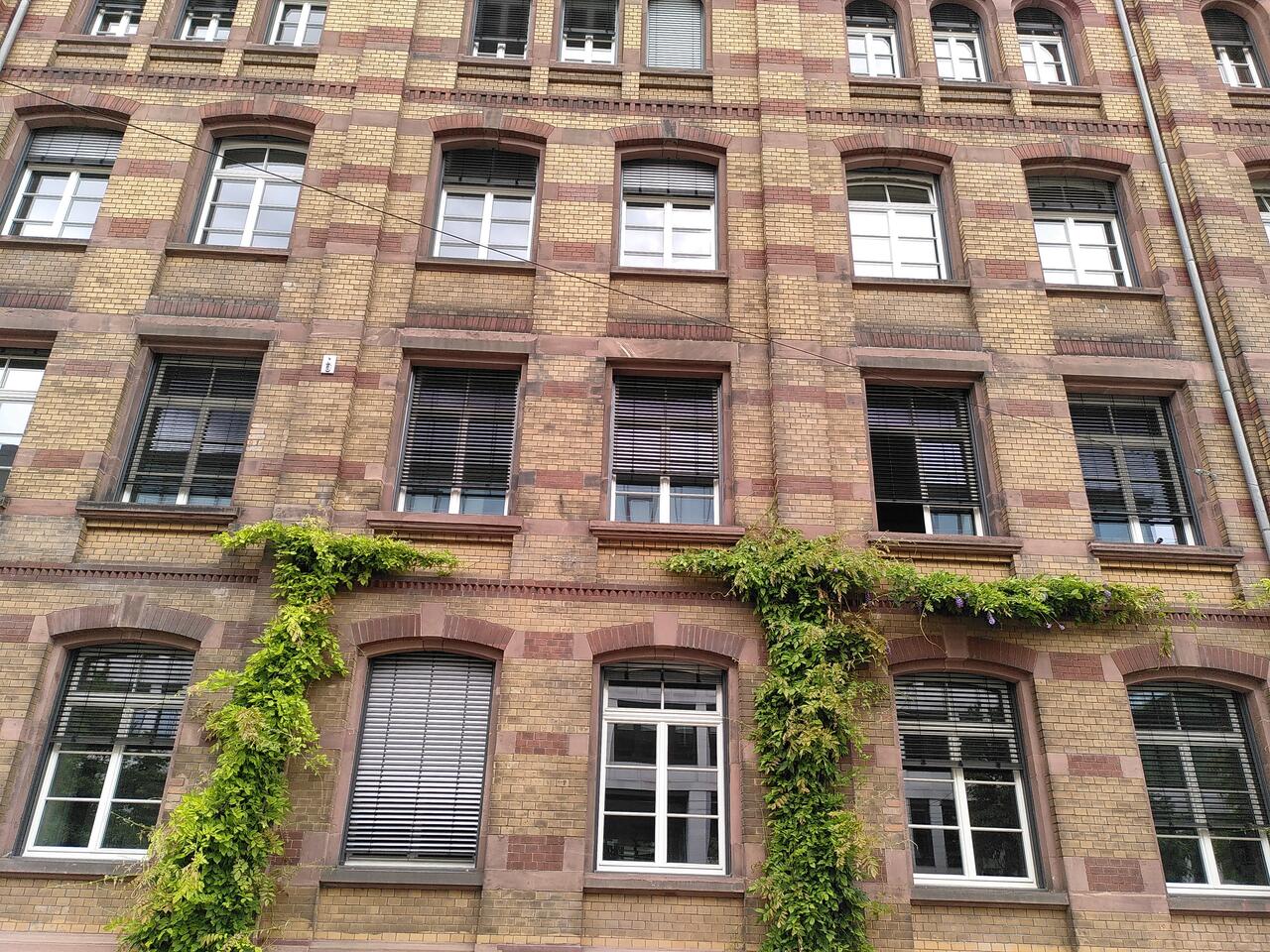 Datei:2023 Volkshochschule Heidelberg 08 Fassade.jpg