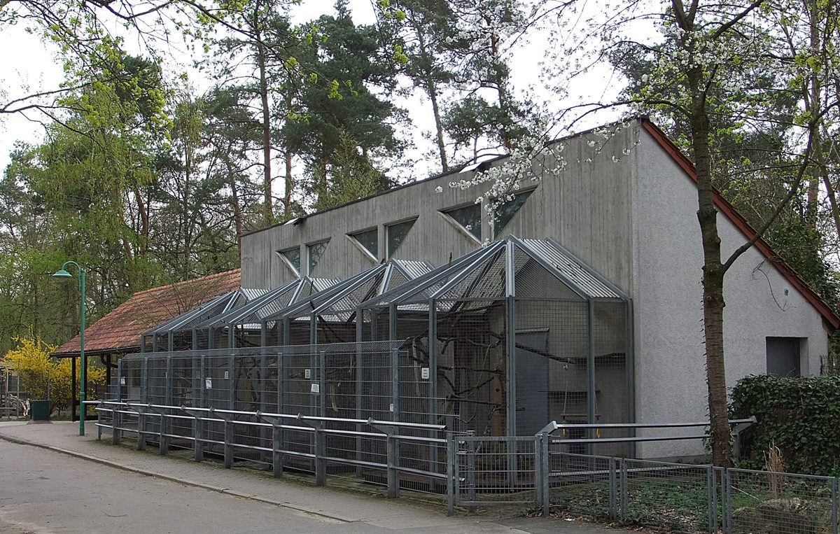 Datei:Tierpark Walldorf 13.JPG