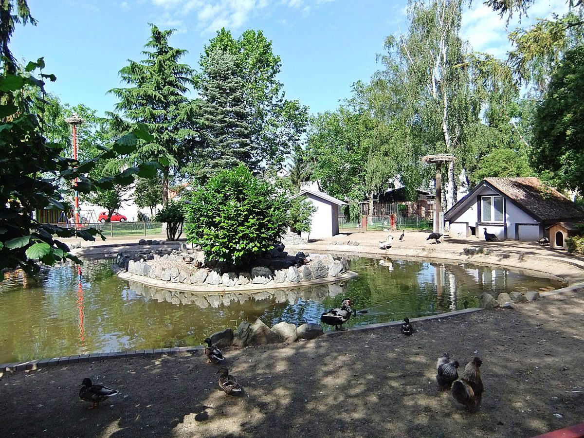 Datei:Vogelpark Altlussheim 03.JPG