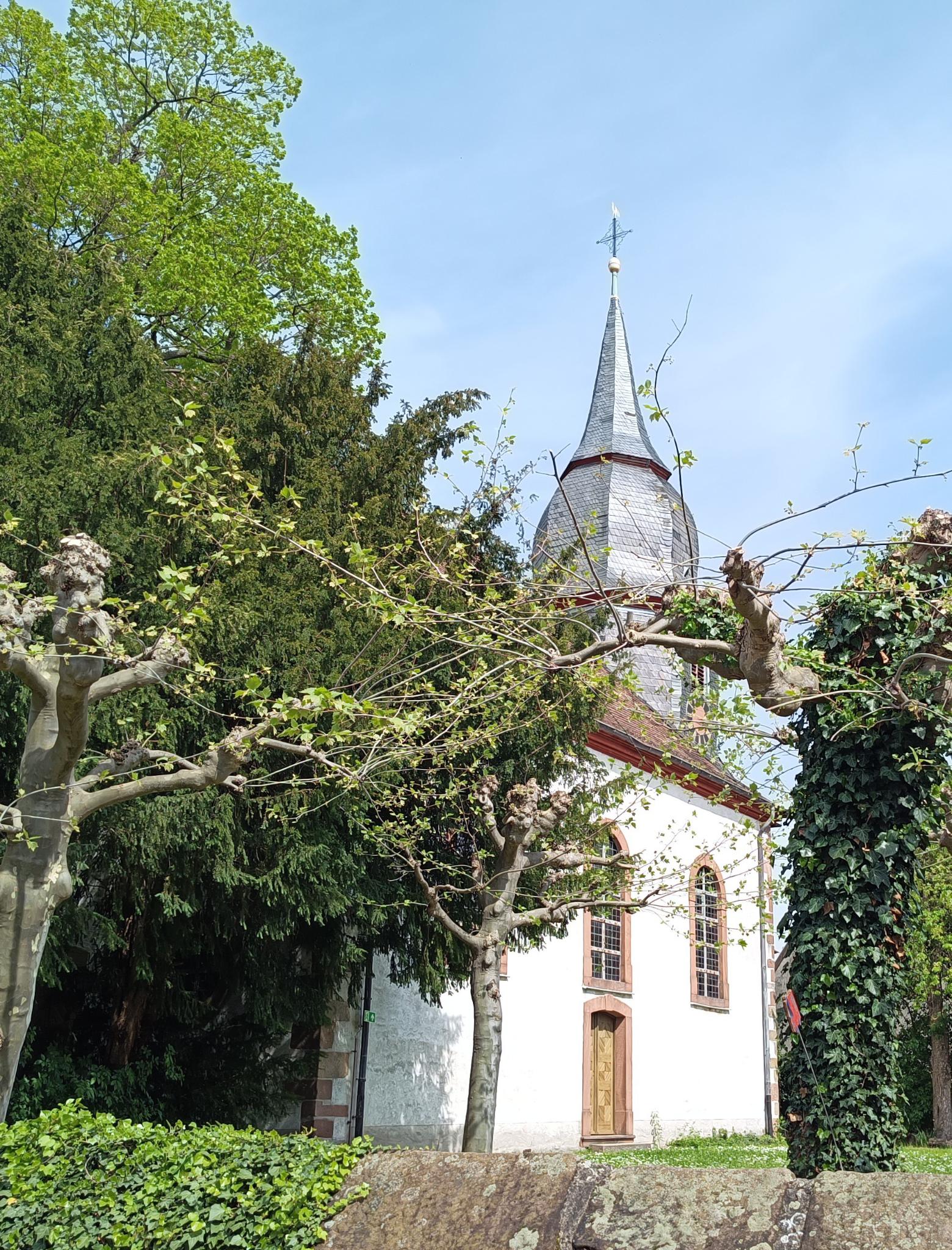 Datei:Protestantische Kirche Kleinfischlingen 1.jpeg