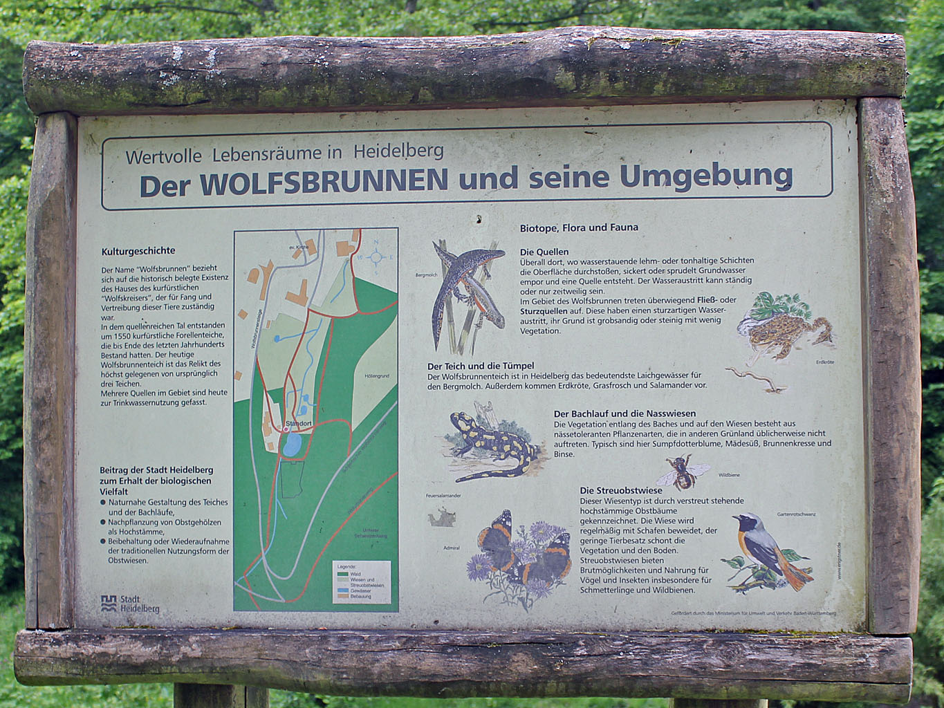 Datei:HdSchlier-Wolfsbrunnen-09.jpg