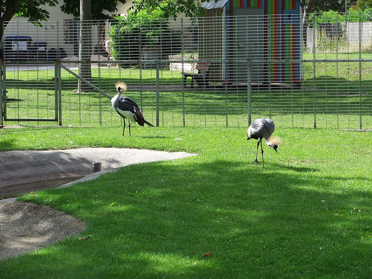 Vogelpark Altlussheim 15.JPG