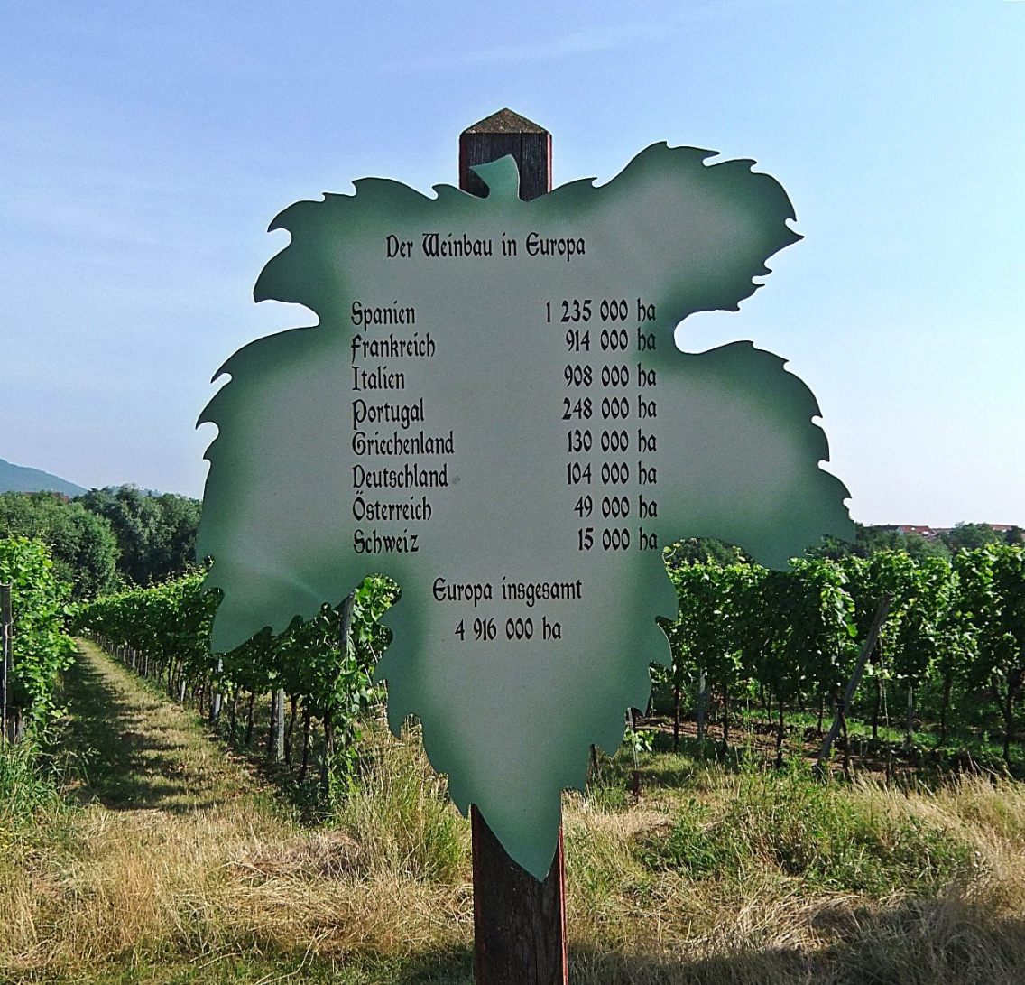 Der Weinbau in Europa