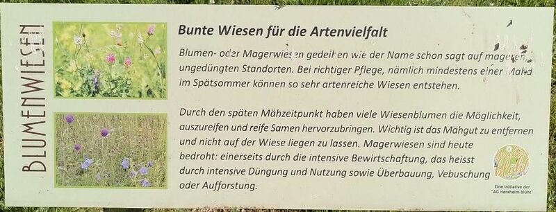 Datei:Infotafel Schauwiesen Herxheim 1.jpg