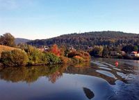 Neckar bei Neckargemünd