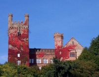 Neckarsteinach Burg Mittelburg.jpg