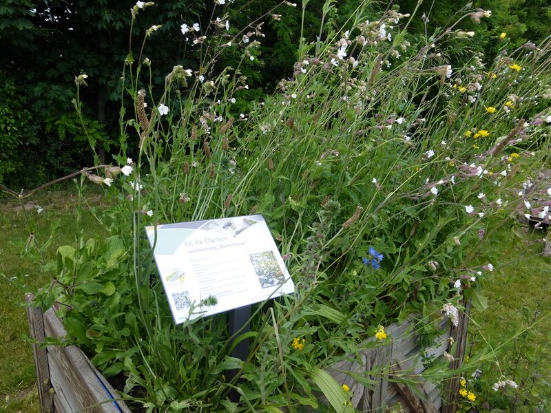 Datei:LGS Landau Eh-da 1.JPG