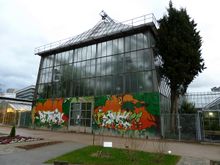 Botanischer Garten in Heidelberg