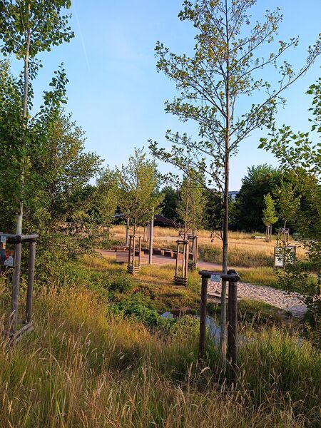 Datei:Queichpark 5.jpeg