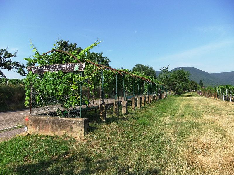 Datei:Weinlehrpfad Edenkoben 10.JPG