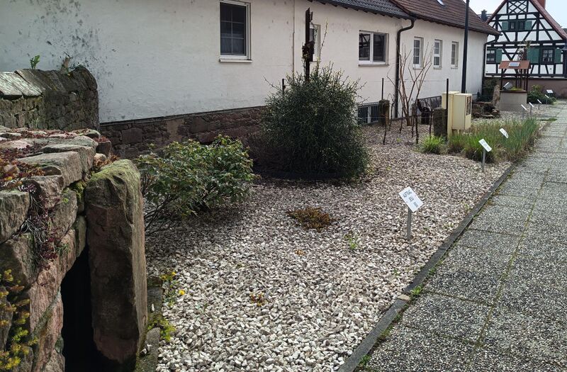 Datei:Bibelgarten Venningen 3.jpeg