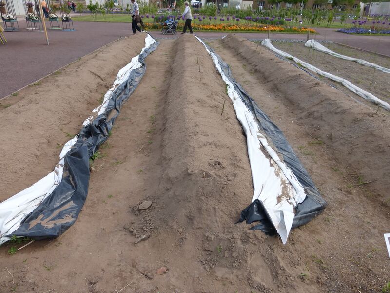 Datei:LGS Landau Pfalzmarkt 3.JPG