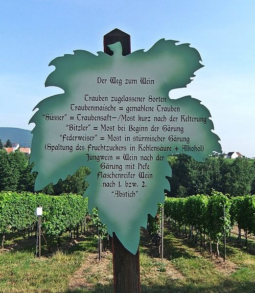 Datei:Weinlehrpfad Edenkoben 36.JPG