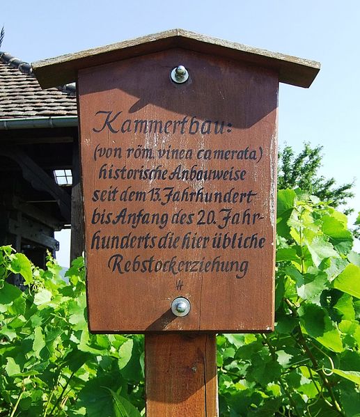 Datei:Weinlehrpfad Edenkoben 22.JPG