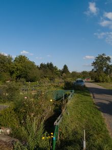 Großer Krautgartenweg in Schwetzingen