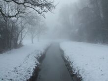 Winterimpression vom Leimbach bei Brühl