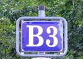 B3