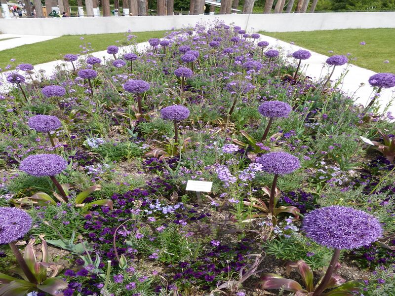 Datei:LGS Landau Dahlien Aussichtsturm.JPG