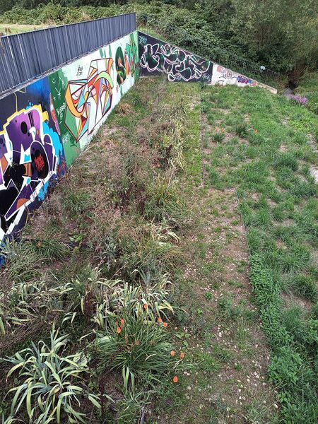 Datei:LGS Landau Bachgarten 3 .jpeg