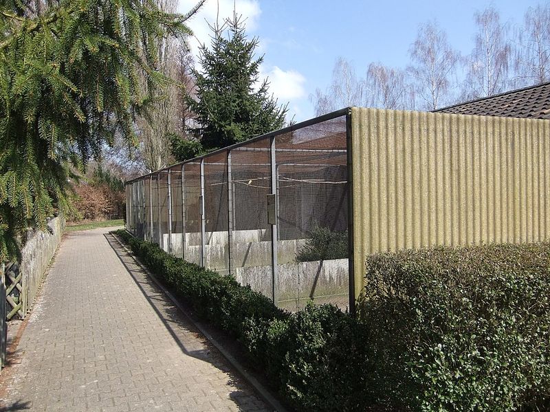 Datei:Vogelpark Balzfeld 07.JPG
