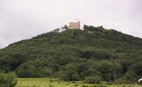 Das Hambacher Schloss war vom 27. bis 30. März 1832 Schauplatz des Hambacher Festes.