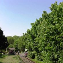 Südpfalz Draisinenbahn Haltestelle Zeiskam