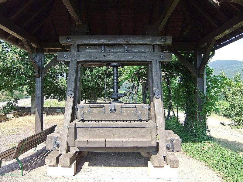 Datei:Weinlehrpfad Edenkoben 23.JPG