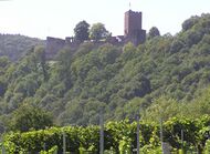 Burg Landeck