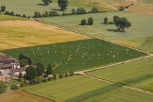 Maislabyrinth in Hockenheim